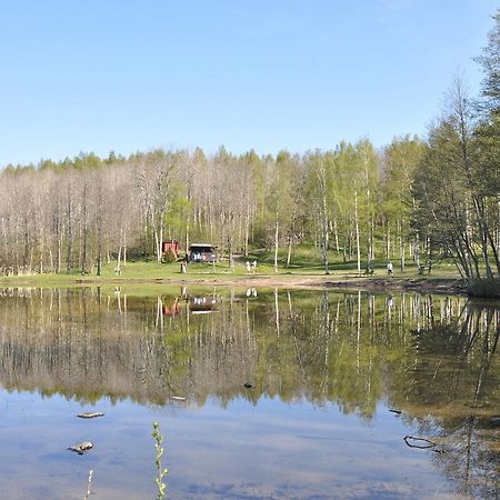 Furusjoens Cottage Ånimskog Exterior foto